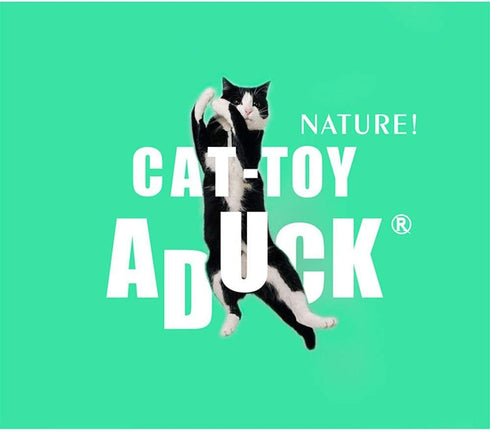 ADUCK Cat Toys Interactive Teaser Wand Toy with Tassels, Random Color, 1PC