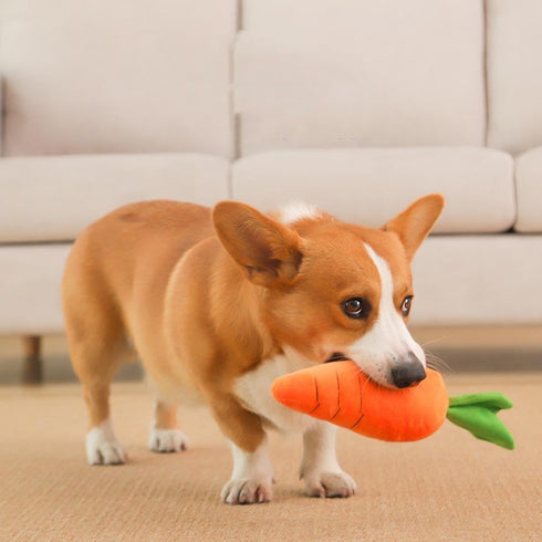 GINTBN Giant Carrot Dog Toy,Dog Squeaky Toys to Keep Them Busy,Soft Cute Carrot Toys for Small, Medium, Large Dogs