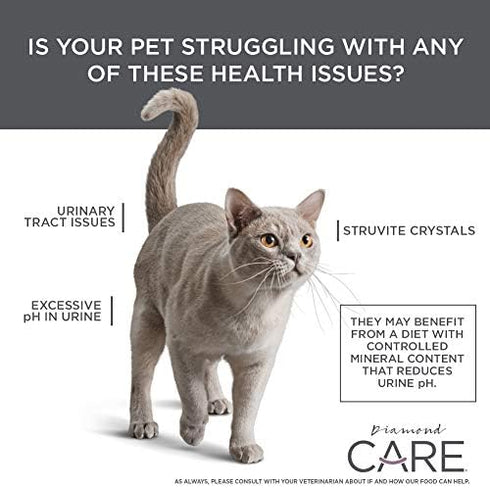 Urinary Support Cat Food, 6lb