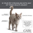 Urinary Support Cat Food, 6lb
