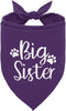 corner wind Big Sister Dog Pregnancy Announcement Shirt, Dog Bandana Gift, Gender Reveal Triangle