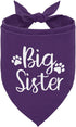 corner wind Big Sister Dog Pregnancy Announcement Shirt, Dog Bandana Gift, Gender Reveal Triangle