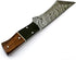Rare Custom Damascus Tanto Hunting Knife | Best Outdoor Skinning Knife with Rose Wood Handle & Leather Sheath (S-6468)