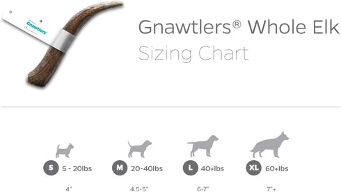 Pet Parents Gnawtlers, Premium Naturally Shed Elk Antlers for Dogs, All Natural Dog Chew, Large