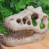 Opexicos 2Pcs Resin Dinosaur Skull Aquarium Decoration - 8.5 x 5.5 x 4.5 cm Terrarium Reptile Ornament