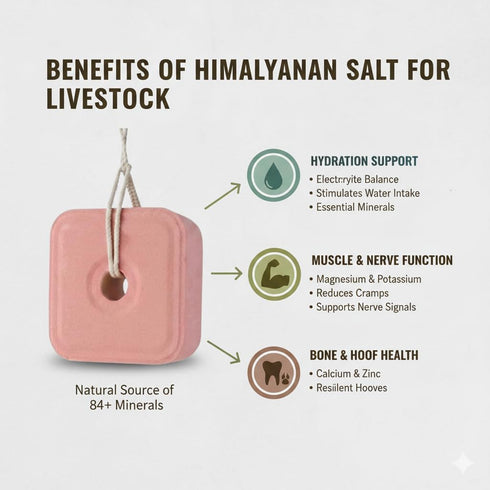 Generic 6 lbs Pack 4 Compressed Himalayan Salt Lick Each | of | Licking Salt for Horses | Deer Salt Lick Block | Block