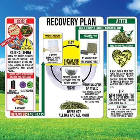 Sherwood Pet Health Rabbit Emergency Kit and Bulk Recovery Food (Small Kit)