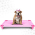 Acrimet Elevated Pet Dog Bed Cot, Washable Breathable Mesh Fabric, Stainless Steel Frame, Indoor & Outdoor Use,