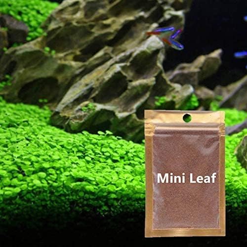 2 Pack Aquarium Small Leaf Grass, Creates Lush Green Carpet for Fish Tanks