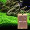 2 Pack Aquarium Small Leaf Grass, Creates Lush Green Carpet for Fish Tanks
