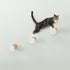 TRIXIE Wall Mount Cat Tree Steps Set | Brown | 3 Steps | Cat Furniture 49915