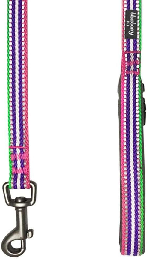Blueberry Pet Reflective Dog Leash - Eco-Friendly Durable Nylon Puppy Essentials, Gentle Leader, Comfortable Handle for