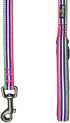 Blueberry Pet Reflective Dog Leash - Eco-Friendly Durable Nylon Puppy Essentials, Gentle Leader, Comfortable Handle for