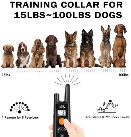Dog Training Collar - Rechargeable Shock Collar with Beep, Vibration, Shock Modes, Rainproof, Long Remote Range