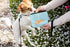 Pearhead Life’s Ruff Canvas Pouch, Travel Zipper Bag for Dog Lovers