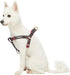 Blueberry Pet Step-in Cherry Garden Black Dog Harness, Chest Girth 20" - 26", Medium, Adjustable Harnesses