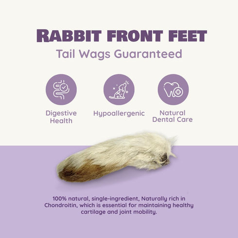 Benji & Louie 2.5 oz, 12 Count Air Dried Rabbit Feet - Whole Rabbit Front Feet with Fur - Natural Healthy Dog Treats