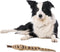 SPOT Skinneeez Leather Snake, 25in Stuffing-Free Dog Toy with Real Leather & 4 Squeakers for Medium Dogs