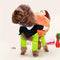 BlueSpace Pet Costume for Small Dogs and Cats, Pumpkin Pets Suit Halloween Costumes Clothing, Perfect for Halloween