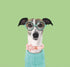 Adjustable Cotton Dog Collar with Pink Daisy Flower Tie, Safety Metal Buckle for Small Medium Large Dogs, Neck 10"-16"