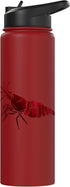 Shrimp Pet Cherry Red Crystal - Funny Aquarium Dwarf Cherry Shrimp Neocaridina Aquarium Shrimp Keeper Stainless Steel