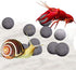 SunGrow Snail and Crayfish Energy Balls, Calcium-Rich Gray Pearls for Invertebrates, 10-Pieces per Pack
