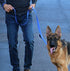 Max and Neo Triple Handle Traffic Dog Leash - Reflective, We Donate a Leash to a Dog Rescue for Every Leash Sold