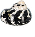 2"-2.5" Hermit Crab Shells | Turbo Shells | Magpie Turbo Shell | Hermit Crab House for Dcor | Plus Free Nautical eBook