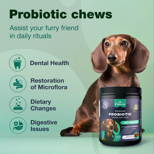 Probiotics for Dogs - Support Gut Health, Immunity, Itchy Skin, Allergies - 180 Probiotic Chews for Dogs