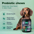 Probiotics for Dogs - Support Gut Health, Immunity, Itchy Skin, Allergies - 180 Probiotic Chews for Dogs
