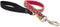 Lupine Traffic Leash 2-foot by 1" Wide, Petunias Design