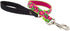 Lupine Traffic Leash 2-foot by 1" Wide, Petunias Design