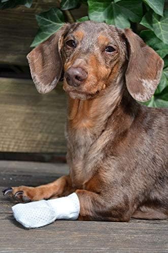 Pack (2XS 12-Pack) Medimitt Paw Bandages for Dogs, Cats and Pets Stretchy Medical Booties, First Aid for Paws Non Slip