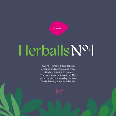 Hilton Herbs 1.1 lb Herballs All Natural Horse Treat with Oregano and Mint