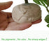 FLmoving Reptile Terrarium Decor Plants,Amphibian Habitat Decor,Artificial Plants for Tank Accessories (Calathea
