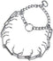 HS Sprenger Chrome Steel Dog Training Collar