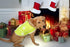 Dog Reflective Vest - Comfortable Safety Jacket for Hunting, High Visibility with Elastic Straps and Clasp Closure -