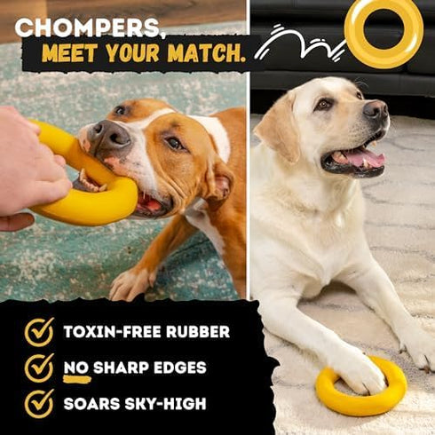 Indestructible Ring Dog Toy - Lifetime Replacement for Medium & Large Breeds, Durable for Aggressive Chewers