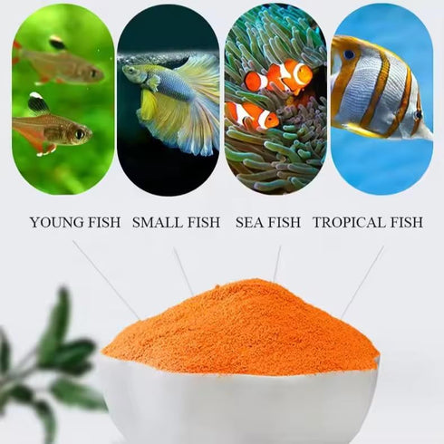 MorexLab 100% (12 OZ (340 Decapsulated Brine Shrimp Eggs (Non-Hatching) - High Protein Natural Food for Fish, Fry