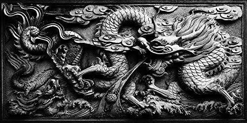 Dragon Relief Aquarium Background Poster PVC Fish Tank Decorations Landscape (72" x 25"/ 183 x 64cm)