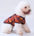 XIAOYU 3 Pieces Halloween Dog Shirt - Funny Black Bat, Magic Hat, Pumpkin Head T-Shirt for Small Dogs & Cats (S)