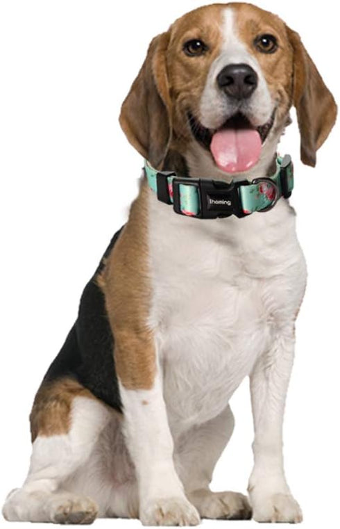 Ihoming Dog Collar and Leash Set for Daily Outdoor Walking, Floral Spring Design for Large Dogs and Cats