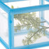 Penn-Plax NB2 Net Breeder Deluxe for Easily Separating Fry, Simple to Install and Adjust