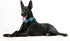 Maca Bates Plaid Blue Dog Collar with Checkered Bow Tie, Adjustable Breakaway Collar for Small, Medium, Large Dogs
