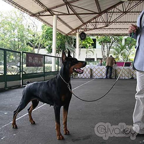 Alvalley Metal Chain Dog Show Collar, Pet Slip Collar for Shows, Fine Brass Snake Chain, Adjustable for All Dog Sizes