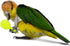 Barn Eleven 3PCS- Hammer Hammer Colourful Mini Ball Sand Parrot Rattle Shaker Musical Sound Toy Intelligent Sand Toys