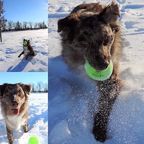 Squeaky Tennis Balls, 2-Pack, Large
