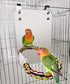 BWOGUE 7 Inch Bird Mirror with Rope Perch, Cockatiel Mirror for Cage Bird Toys, Swing Parrot Cage Toys