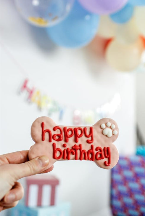 Wufers Dog Birthday Cookie Box - Dog Treats, Cookies, Gifts, Human Grade Ingredients, 9 Cookies, Birthday Girl
