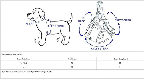 Blueberry Pet 4 Colors Better Basic Dog Harness Vest, Orange Fusion, Chest Girth 17" - 21"